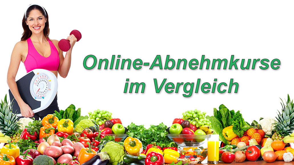 Online abnehmen beste abnehmprogramme Test